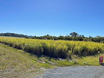 Lot 7 Pioneer Street Glenella QLD 4740 - Image 2