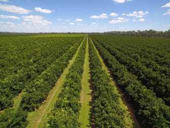 Forbes NSW 2871 - Image 3