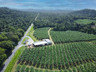1300 Tully Mission Beach Road Carmoo QLD 4852 - Image 2