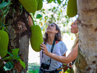 Cairns City QLD 4870 - Image 2