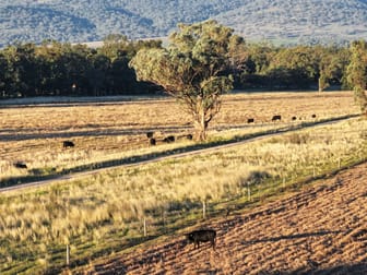 Willow Tree NSW 2339 - Image 2