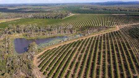 239 North Littabella Road Mullett Creek QLD 4670 - Image 1