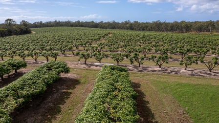 239 North Littabella Road Mullett Creek QLD 4670 - Image 3