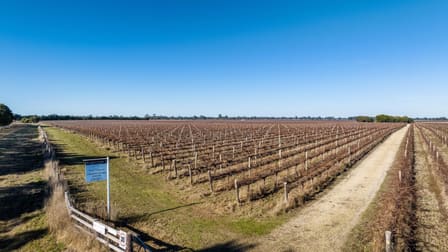Limestone Quarry Vineyard 718 Rochow Wrays Road Koppamurra SA 5271 - Image 2