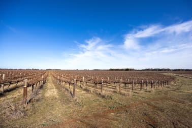 Limestone Quarry Vineyard 718 Rochow Wrays Road Koppamurra SA 5271 - Image 3