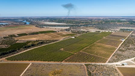 3340 Low Darling Road Wentworth NSW 2648 - Image 1
