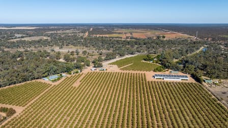 3340 Low Darling Road Wentworth NSW 2648 - Image 3