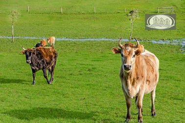 Click to view all images 401 Henty Highway Portland VIC 3305 - Image 3