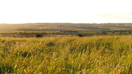 1859 Greens Road Taroom QLD 4420 - Image 3