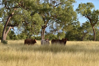 Bauhinia QLD 4718 - Image 1