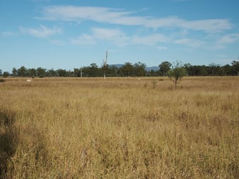 Bauhinia QLD 4718 - Image 3
