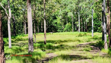 Lot 61/485/484/483/7 Bellthorpe Road Sandy Creek QLD 4515 - Image 3