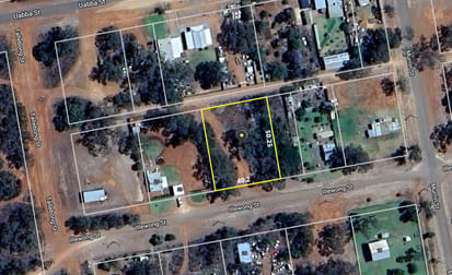 21 Illewong Street Euabalong West NSW 2877 - Image 2