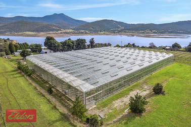 307 Lyell Highway Granton TAS 7030 - Image 2