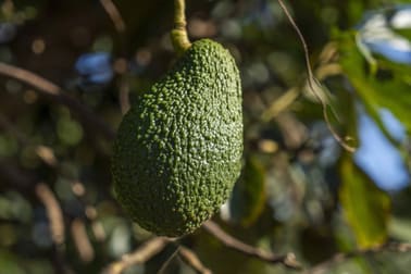 87 Stanton Road Mareeba QLD 4880 - Image 2