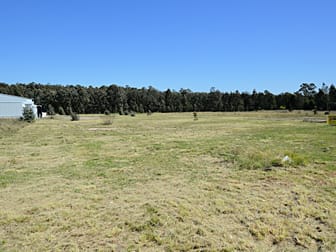 9 Rosedale Close Singleton NSW 2330 - Image 2