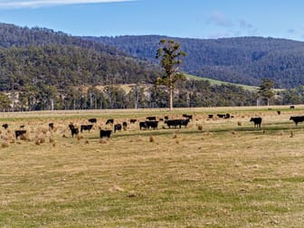 1019 Rheban Road Orford TAS 7190 - Image 3