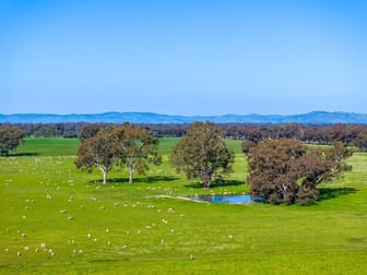 Euroa VIC 3666 - Image 1