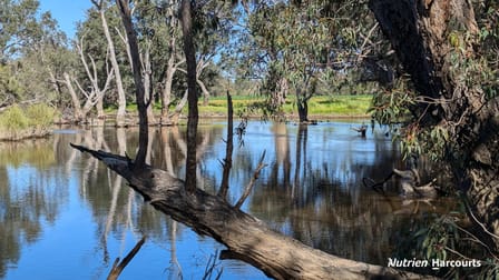 420 Baramba Road, Karakin Gingin WA 6503 - Image 1