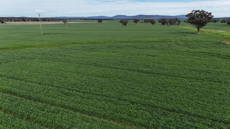 5055 Lachlan Valley Way Gooloogong NSW 2805 - Image 2