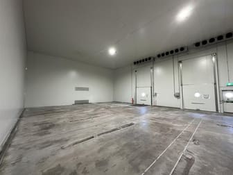 12 Goodman Pl Murarrie QLD 4172 - Image 3
