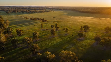 674 Old Wagga Road Narrandera NSW 2700 - Image 1