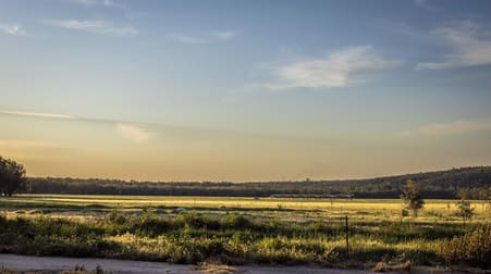 674 Old Wagga Road Narrandera NSW 2700 - Image 3