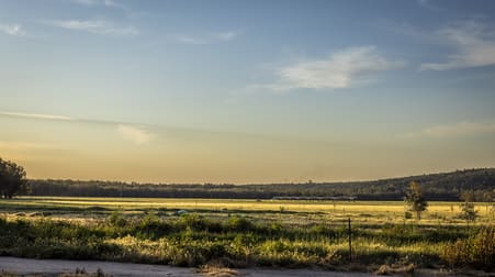 674 Old Wagga Road Narrandera NSW 2700 - Image 3