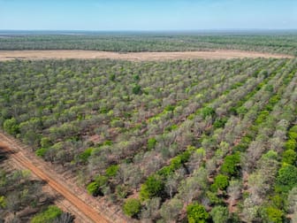 Douglas-daly NT 0822 - Image 2