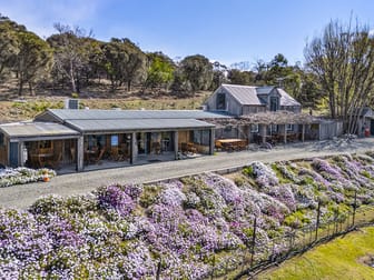 12 Addison Street Swansea TAS 7190 - Image 1