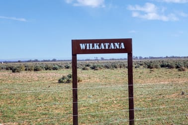 'Wilkatana Station' Wilkatana Road Yarrah SA 5433 - Image 3