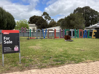 203/ Musgrave Avenue Lucindale SA 5272 - Image 1