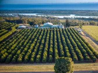 97 Rocky Point Road Winfield QLD 4670 - Image 1