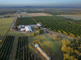 97 Rocky Point Road Winfield QLD 4670 - Image 2