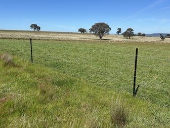424 Trebane Road Crowther NSW 2803 - Image 2