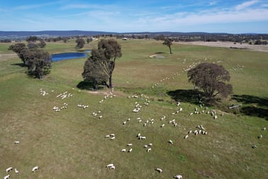 424 Trebane Road Crowther NSW 2803 - Image 1