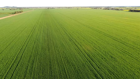 Wirrinya NSW 2871 - Image 1
