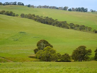 593 Balochile Road Coleraine VIC 3315 - Image 1