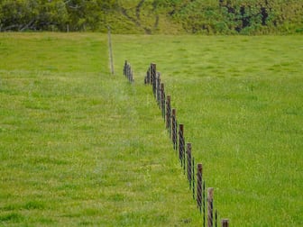593 Balochile Road Coleraine VIC 3315 - Image 3