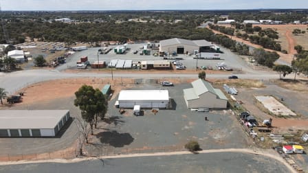 3 Calleen Street West Wyalong NSW 2671 - Image 3