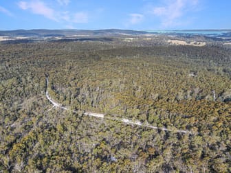 25851 Tasman Highway St Helens TAS 7216 - Image 1