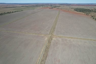14787 Lachlan Valley Way Kiacatoo NSW 2877 - Image 3