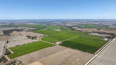179 Milang Road Belvidere SA 5255 - Image 2