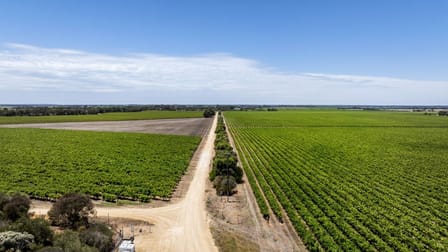 179 Milang Road Belvidere SA 5255 - Image 3