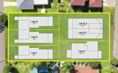 10a Cynthia Street Bateau Bay NSW 2261 - Image 1