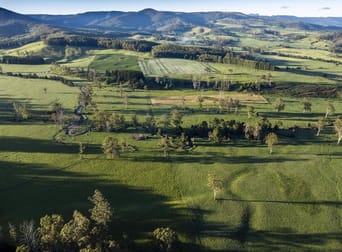 271 New River Road Ringarooma TAS 7263 - Image 3