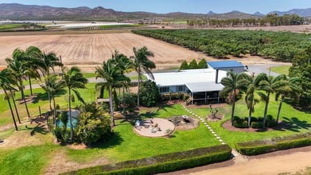 137 Veness Road Dimbulah QLD 4872 - Image 2