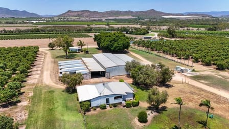 137 Veness Road Dimbulah QLD 4872 - Image 3