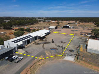 18 Calleen Street West Wyalong NSW 2671 - Image 1