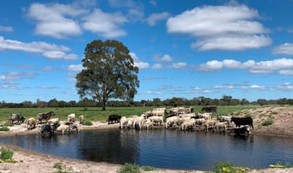 332 Sullivan Road Gingin WA 6503 - Image 1